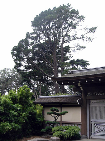 Foto Golden Gate Park mit Botanischen Garten - San Francisco