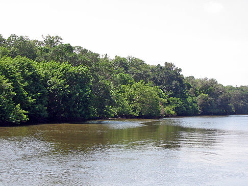 Collier Boulevard Boating Park Foto 