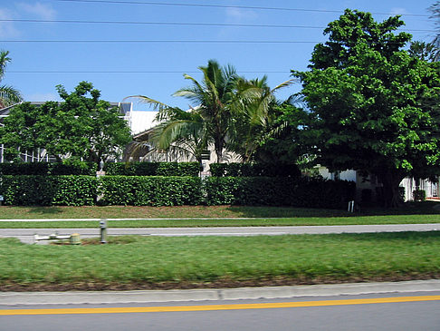 Foto Straßenrand auf Marco Island - Marco Island