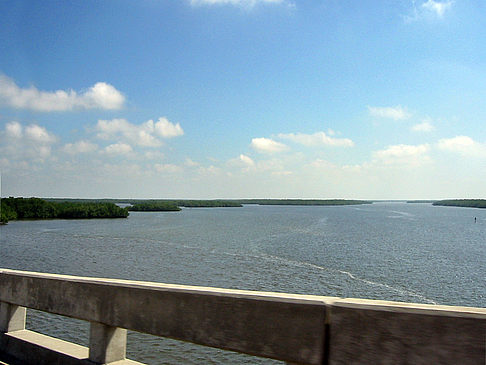 Fotos Straßenrand auf Marco Island | Marco Island