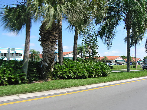 Straßenrand auf Marco Island Fotos