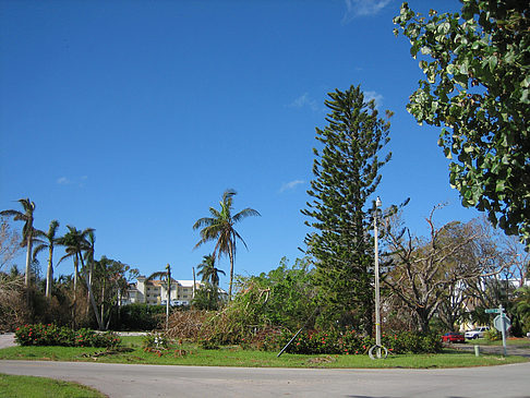 Fotos Straßenrand