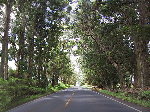 Fotos Straßen auf Kauai