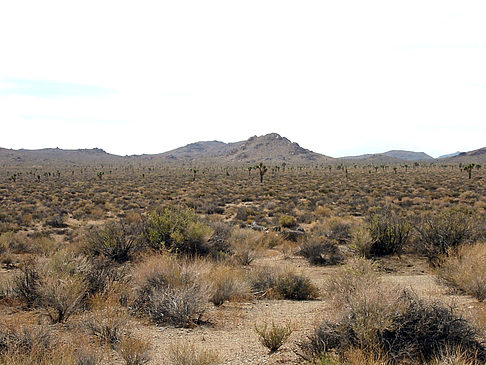 Lone Pine - Panamint Springs Fotos