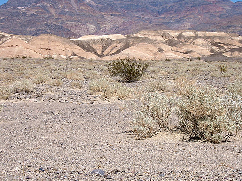 Foto Stovepipe Wells - Ubehebe Crater