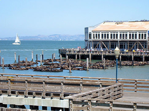 Fishermans Pier 39 bis 45 Fotos