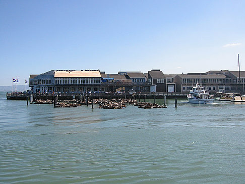 Foto Fishermans Pier 39 bis 45 - San Francisco