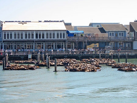 Fotos Fishermans Pier 39 bis 45 | San Francisco