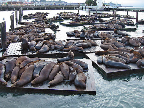 Foto Fishermans Pier 39 bis 45 - San Francisco