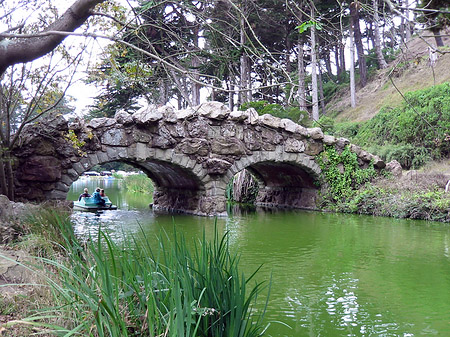 Fotos Golden Gate Park mit Botanischen Garten