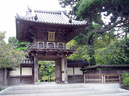 Foto Golden Gate Park mit Botanischen Garten - San Francisco