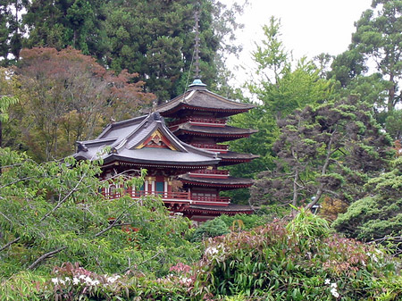 Golden Gate Park mit Botanischen Garten