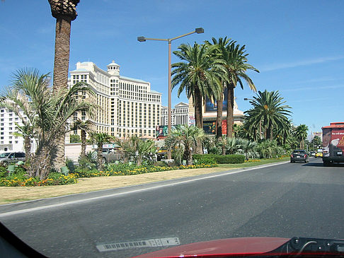 Fotos Las Vegas aus dem Auto | Las Vegas