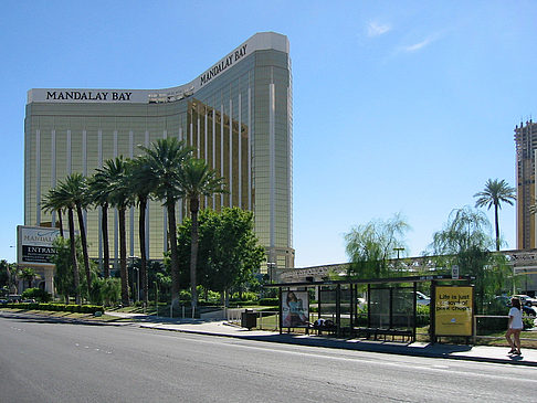 Fotos Hotel Mandalay Bay | Las Vegas